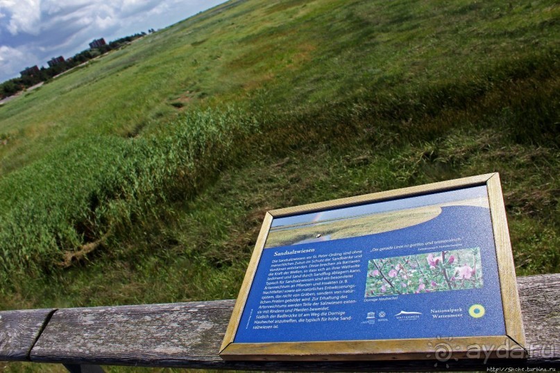 Sankt Peter-Ording — курорт на Ваттовом море (Юнеско №1314)