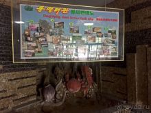 Пляжи Северной Кореи. Синджунхо, как курортные перспективы