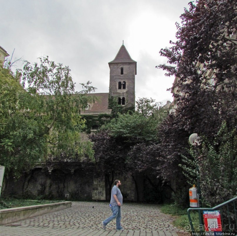 Вена - красивый город. Часть 1 - общее впечатление