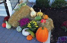 В гостях у Радуги. Манчестер Вермонтский, визуальный контакт