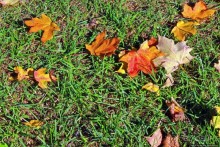 В гостях у Радуги. Манчестер Вермонтский, визуальный контакт