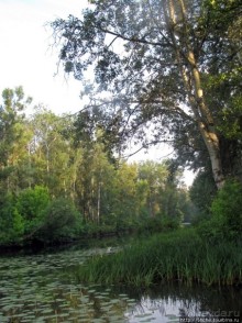 Ворскла. Прекрасное рядом — просто надо иногда выйти из авто