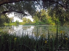 Ворскла. Прекрасное рядом — просто надо иногда выйти из авто