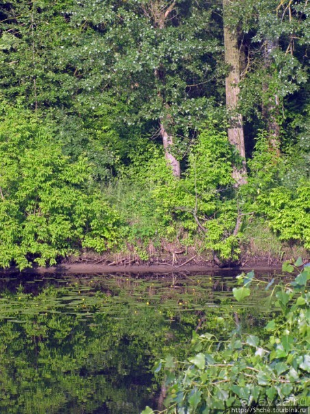 Ворскла. Прекрасное рядом — просто надо иногда выйти из авто