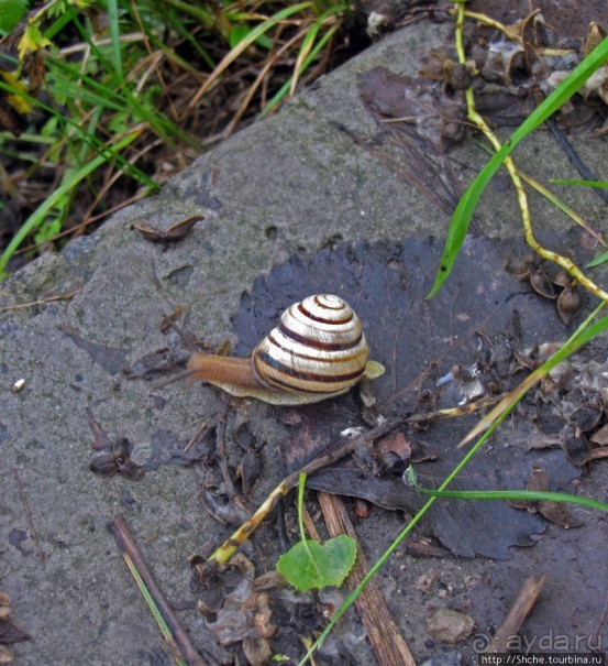 Ворскла. Прекрасное рядом — просто надо иногда выйти из авто
