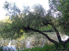 Ворскла. Прекрасное рядом — просто надо иногда выйти из авто