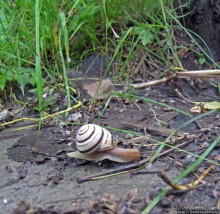 Ворскла. Прекрасное рядом — просто надо иногда выйти из авто