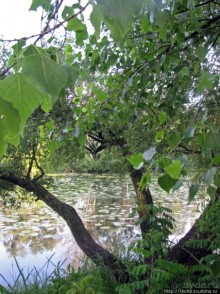 Ворскла. Прекрасное рядом — просто надо иногда выйти из авто