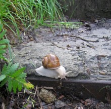 Ворскла. Прекрасное рядом — просто надо иногда выйти из авто