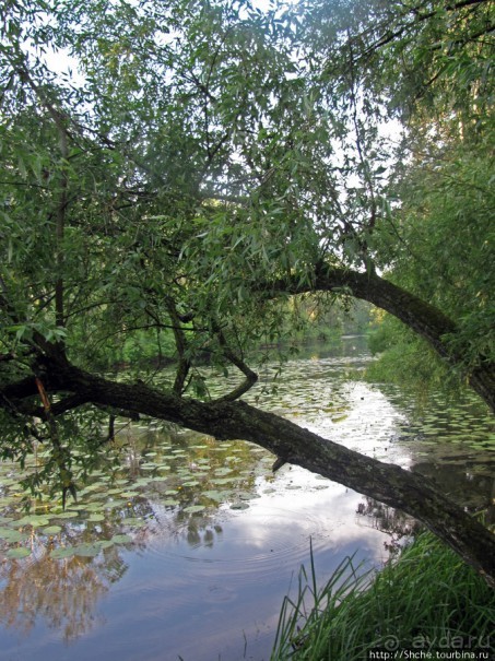 Ворскла. Прекрасное рядом — просто надо иногда выйти из авто