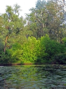 Ворскла. Прекрасное рядом — просто надо иногда выйти из авто