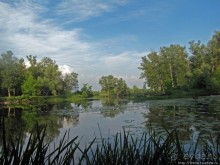 Ворскла. Прекрасное рядом — просто надо иногда выйти из авто