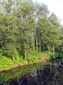 Ворскла. Прекрасное рядом — просто надо иногда выйти из авто