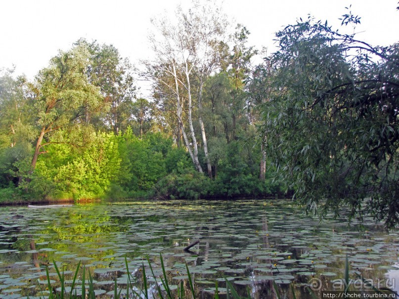 Ворскла. Прекрасное рядом — просто надо иногда выйти из авто