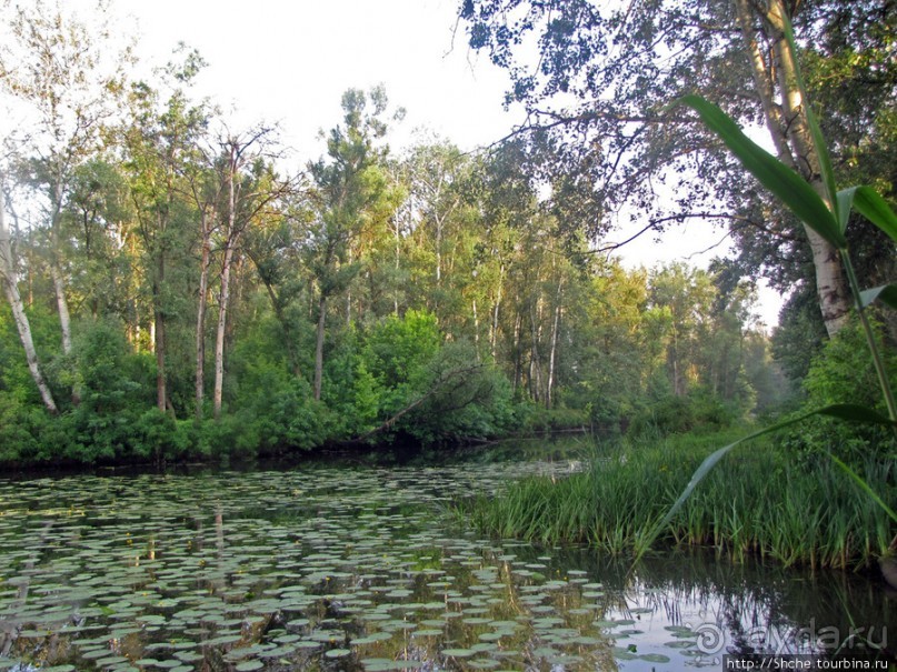 Ворскла. Прекрасное рядом — просто надо иногда выйти из авто
