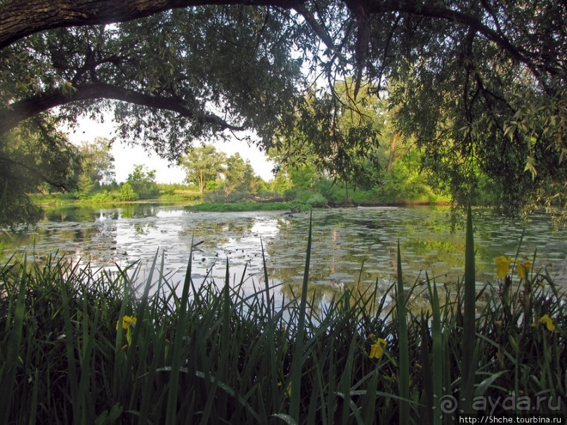 Ворскла. Прекрасное рядом — просто надо иногда выйти из авто