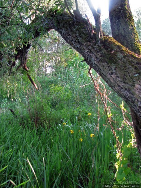 Ворскла. Прекрасное рядом — просто надо иногда выйти из авто