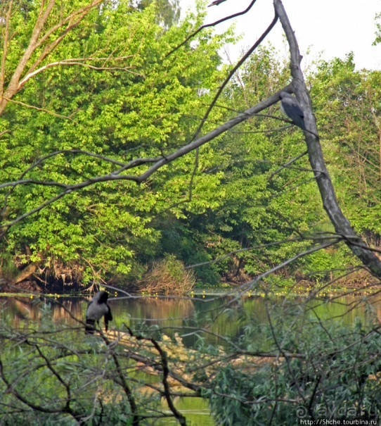 Ворскла. Прекрасное рядом — просто надо иногда выйти из авто