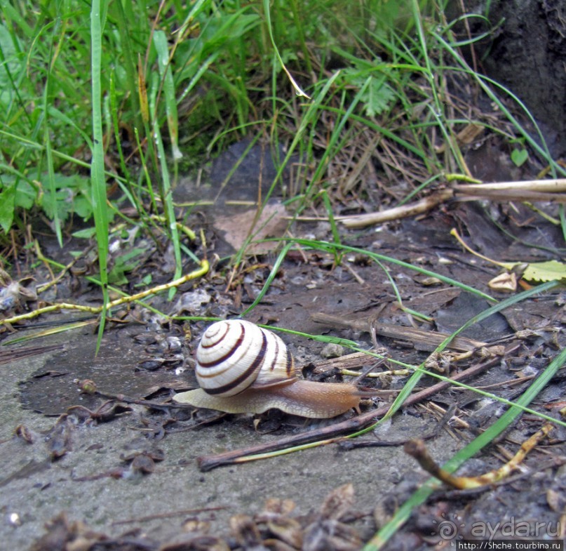 Ворскла. Прекрасное рядом — просто надо иногда выйти из авто