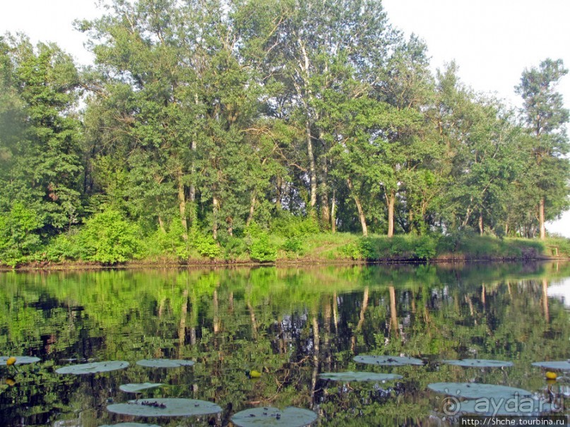 Ворскла. Прекрасное рядом — просто надо иногда выйти из авто