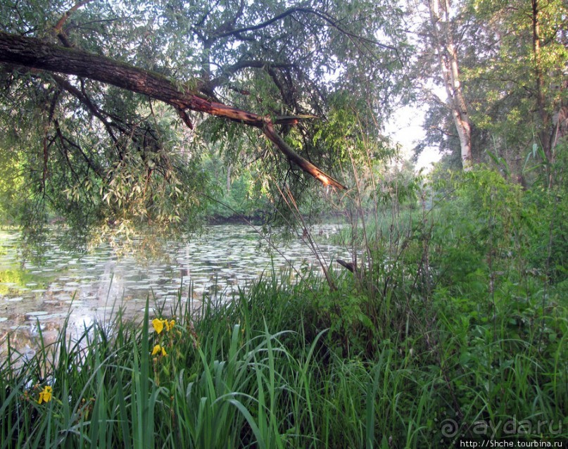 Ворскла. Прекрасное рядом — просто надо иногда выйти из авто