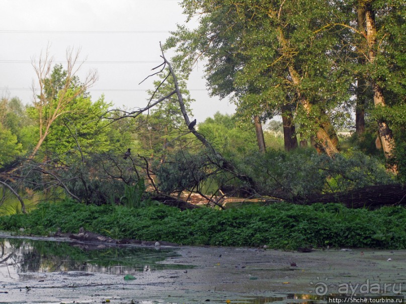 Ворскла. Прекрасное рядом — просто надо иногда выйти из авто