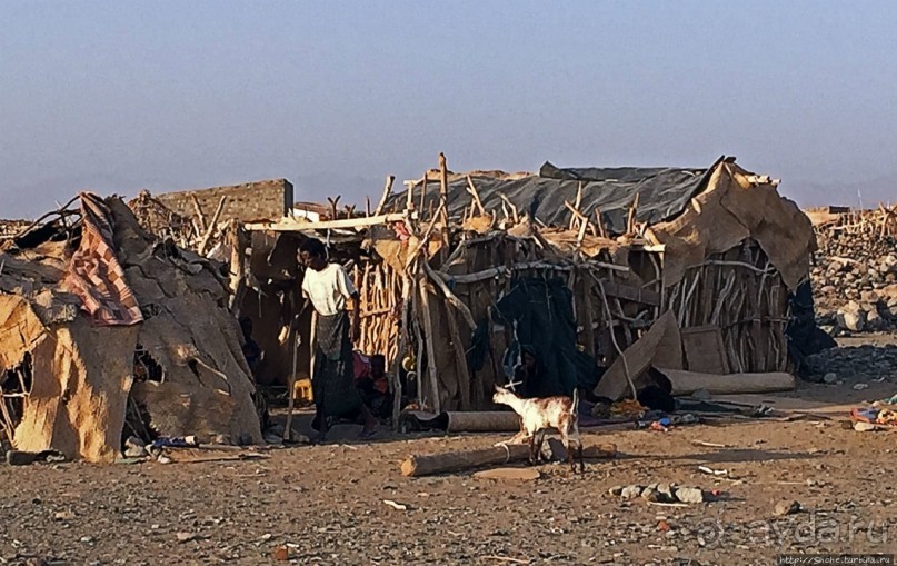 Хамед-Эла — жизнь там, где это практически невозможно