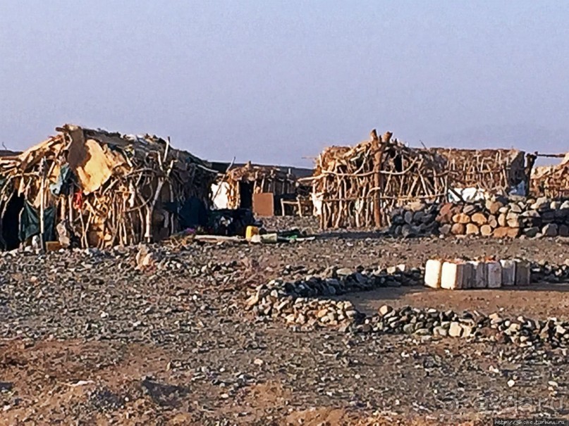 Хамед-Эла — жизнь там, где это практически невозможно