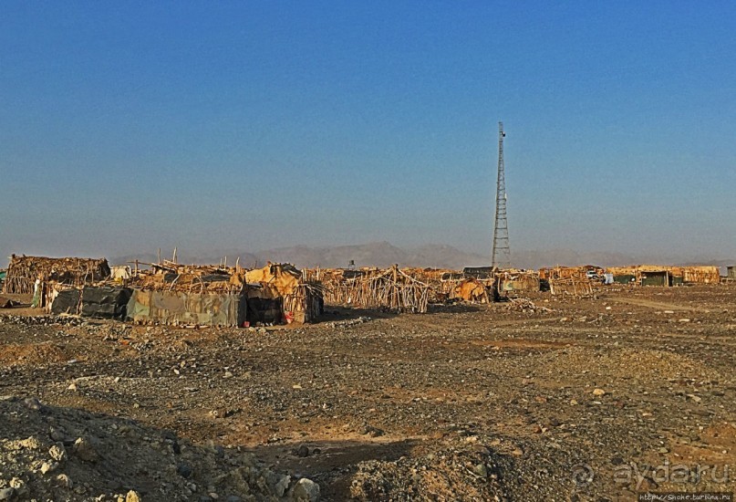 Хамед-Эла — жизнь там, где это практически невозможно