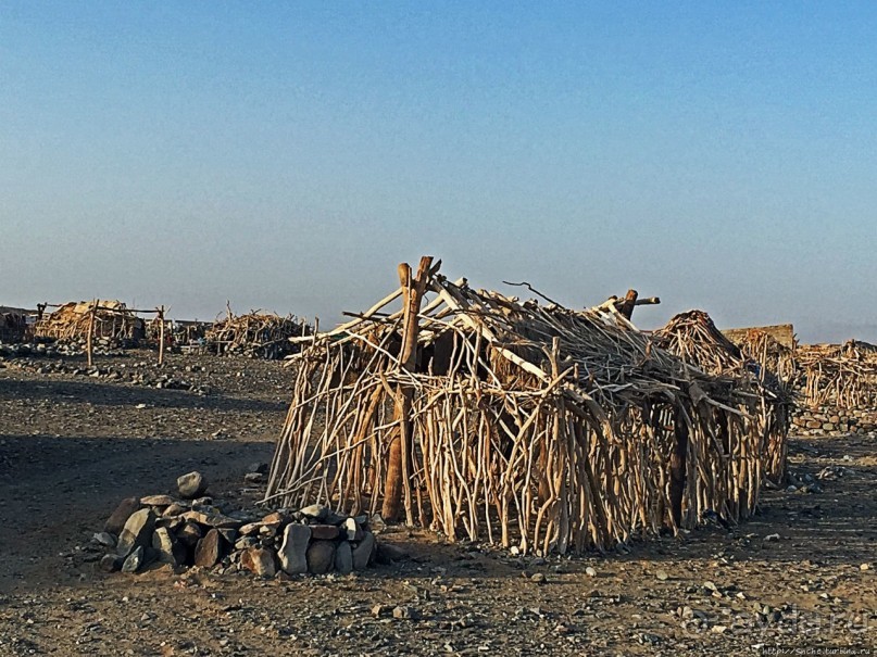 Хамед-Эла — жизнь там, где это практически невозможно
