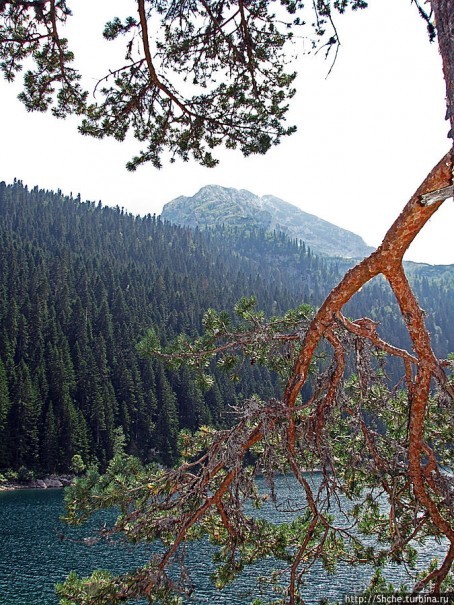 Живописные берега горного Черного озера в нац.парке Дурмитор