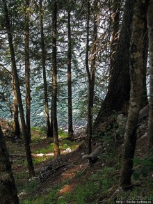 Живописные берега горного Черного озера в нац.парке Дурмитор
