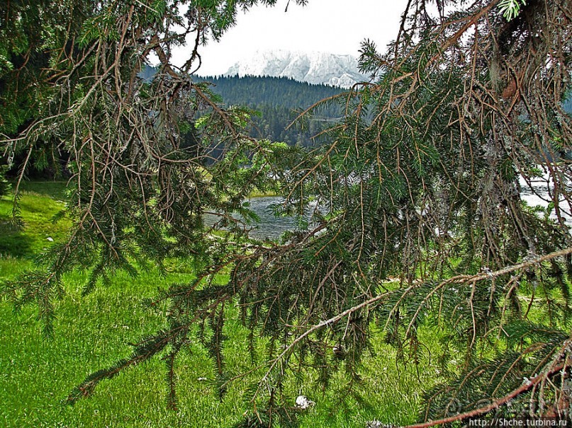 Живописные берега горного Черного озера в нац.парке Дурмитор