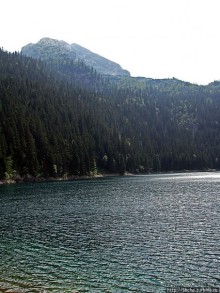 Живописные берега горного Черного озера в нац.парке Дурмитор