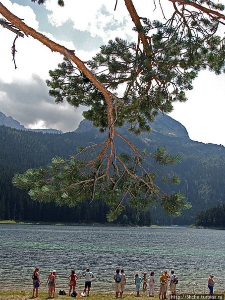 Живописные берега горного Черного озера в нац.парке Дурмитор