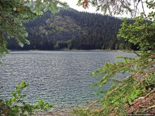 Живописные берега горного Черного озера в нац.парке Дурмитор