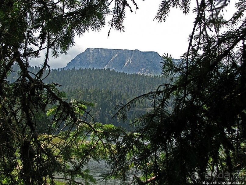 Живописные берега горного Черного озера в нац.парке Дурмитор