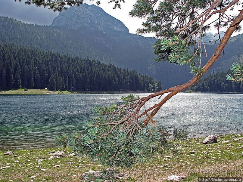 Живописные берега горного Черного озера в нац.парке Дурмитор