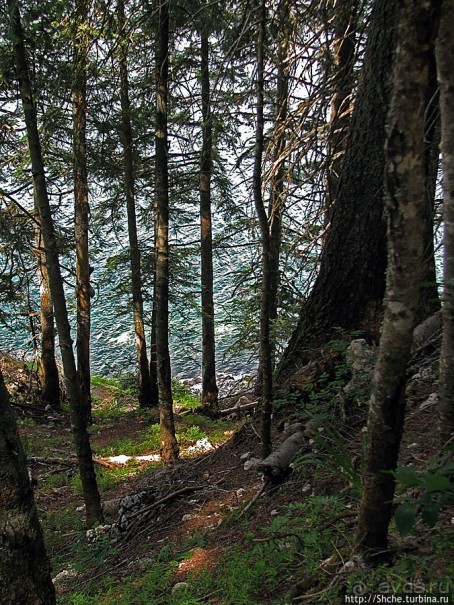 Живописные берега горного Черного озера в нац.парке Дурмитор