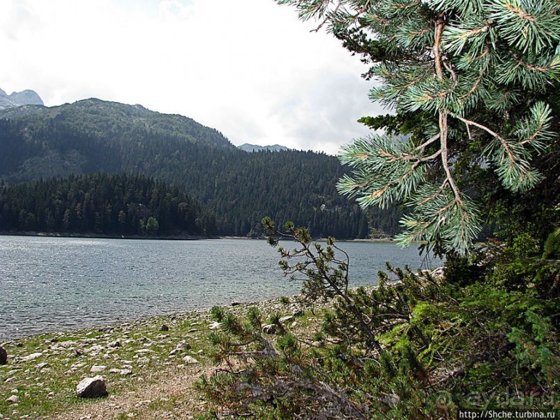 Живописные берега горного Черного озера в нац.парке Дурмитор