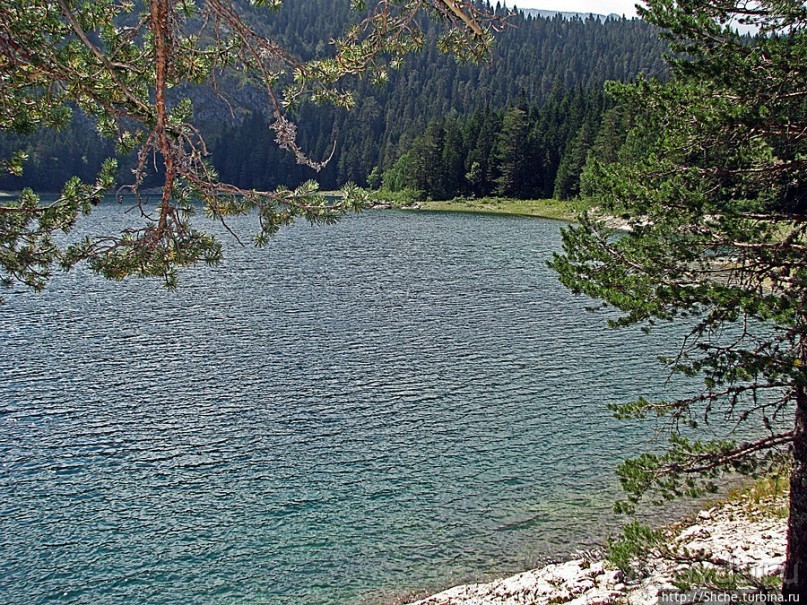 Живописные берега горного Черного озера в нац.парке Дурмитор