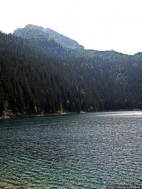 Живописные берега горного Черного озера в нац.парке Дурмитор