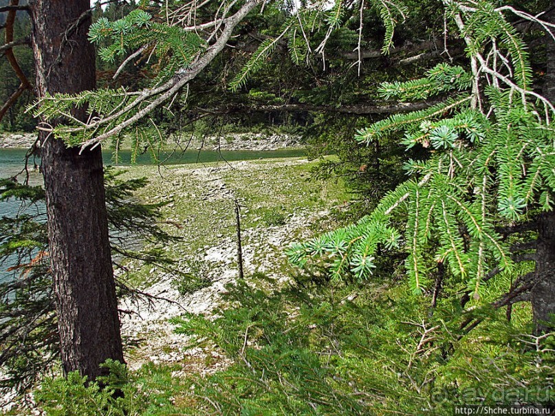 Живописные берега горного Черного озера в нац.парке Дурмитор