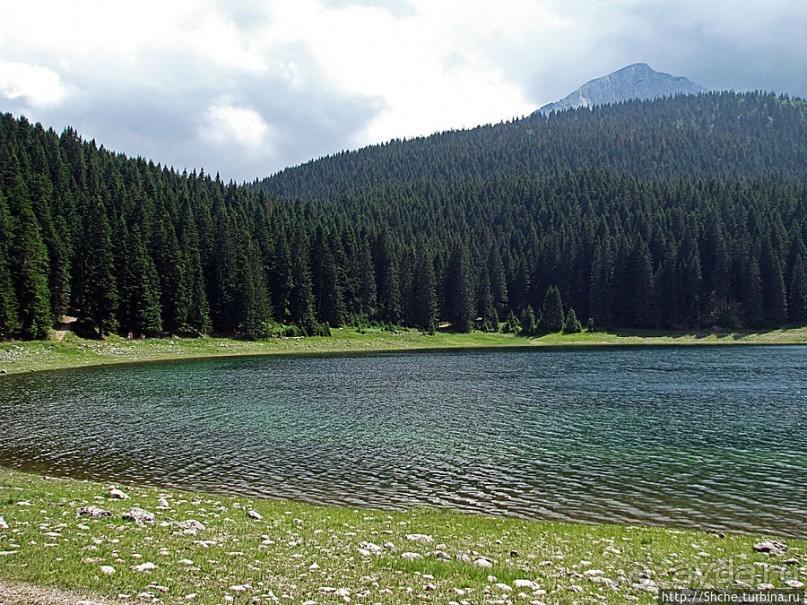 Живописные берега горного Черного озера в нац.парке Дурмитор