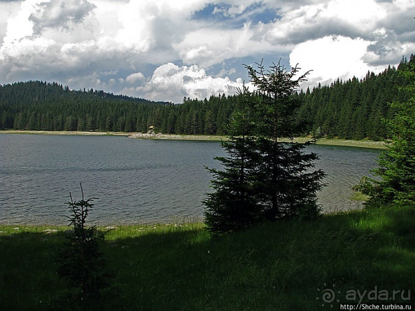 Живописные берега горного Черного озера в нац.парке Дурмитор