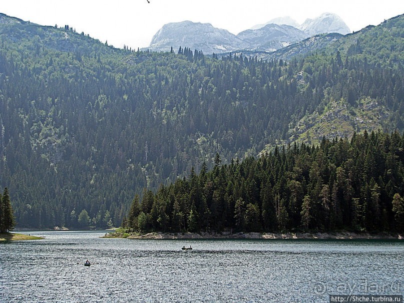 Живописные берега горного Черного озера в нац.парке Дурмитор