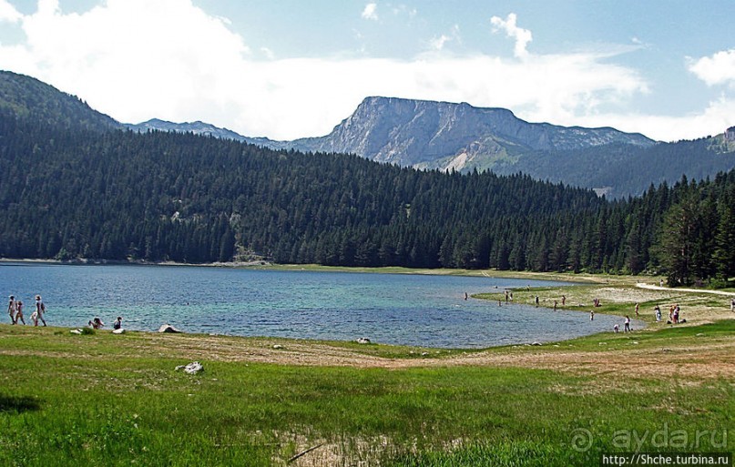 Живописные берега горного Черного озера в нац.парке Дурмитор