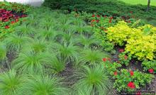 Погожий день в столице Канады