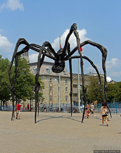 Погожий день в столице Канады