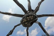 Погожий день в столице Канады